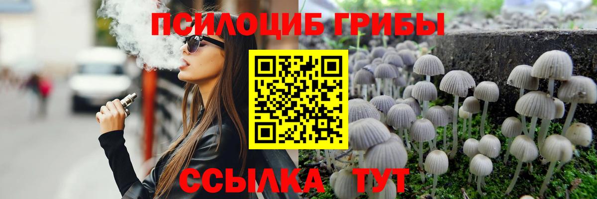 Псилоцибиновые грибы Cubensis Волгоград