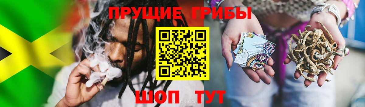 Псилоцибиновые грибы Psilocybine cubensis  магазин продажи наркотиков  Волгоград  Вход с VPN 